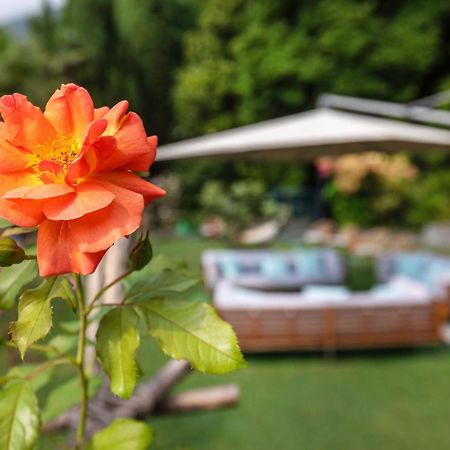 Parkhotel Brenscino Brissago Esterno foto